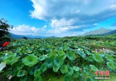 （乡村行·看振兴）福建建宁